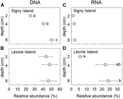 A Previously Undescribed Helotialean Fungus That Is Superabundant in Soil Under Maritime Antarctic Higher Plants